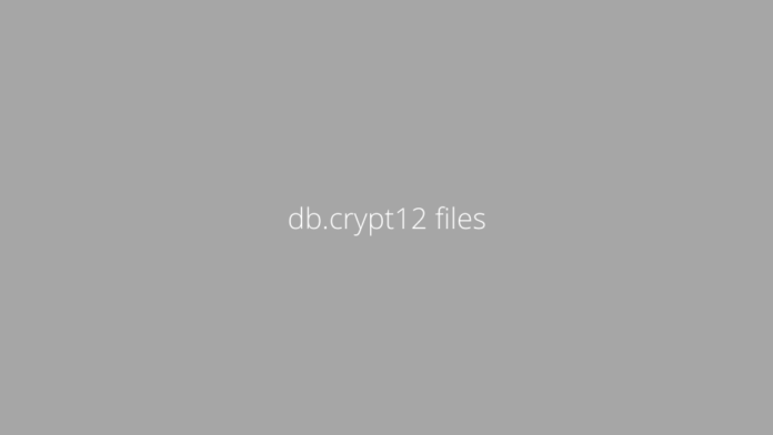 What are db.crypt12 files in the Whatsapp Databases folder?