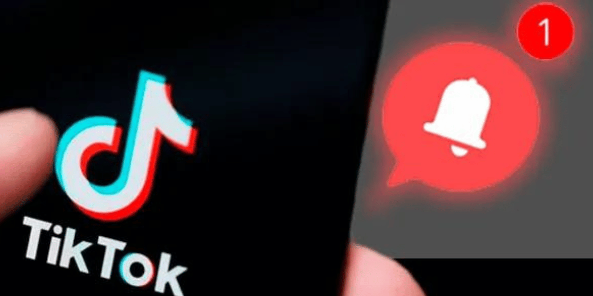 Does Tiktok Notify When You Save A Video?