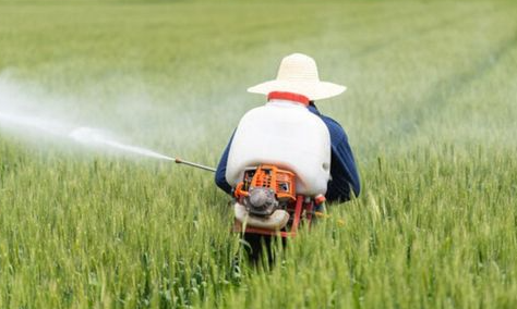 4 Common Mistakes To Avoid When Using Herbicides