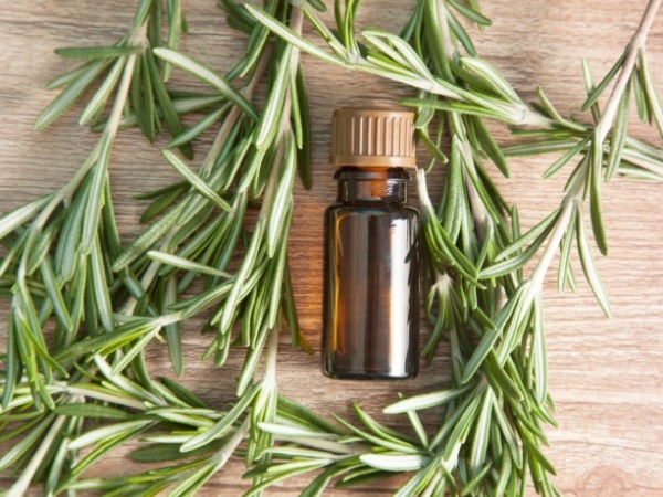 Get Thick and Luscious Hair with Rosemary Oil!