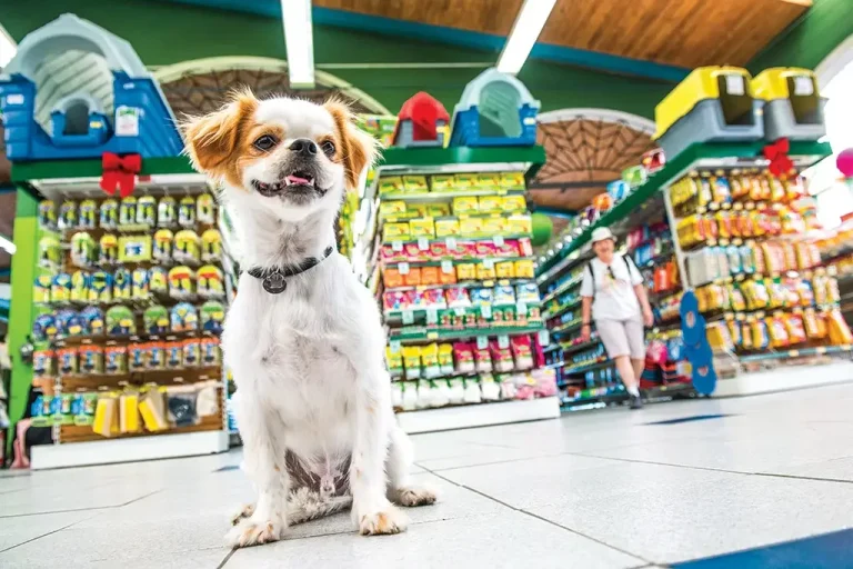 Pricing Strategies for Pet Stores