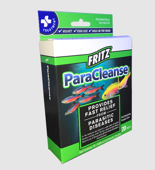 Paracleanse Guide: Myths And Facts Explained